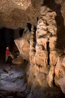 Coves del Salnitre - Thumbnail 4, Collbató