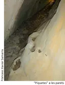 Cova de les Piquetes - Miniatura 3, Collsuspina