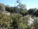 Avenc de la Gavarrera - Miniatura 2, Àger
