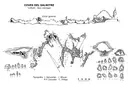 Coves del Salnitre - Thumbnail 4, Collbató