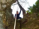 Bòfia de la Corba - Thumbnail 3, Castellar del Riu