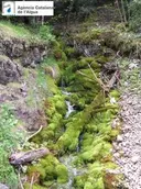 Feus del Riu de Mola - Miniatura 1, Josa i Tuixén