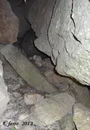 Cova Falsa - Miniatura 2, Arbolí