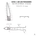 Cova 1 de les Feixasses - Thumbnail 1, Sant Feliu de Pallerols