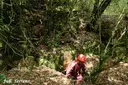 Cova de la Sala - Miniatura 9, Mont-ral