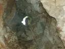 Avenc d'en Parrilla - Miniatura 5, Olesa de Bonesvalls