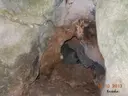 Cova-avenc del Padró - Miniatura 4, Àger