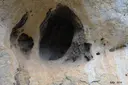 Cova del Pi - صورة مصغرة 2, Tivissa