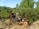 Avenc de la Calma - Thumbnail 1, Llers