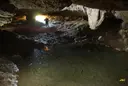 Bòfia de Can Torneula - Thumbnail 2, Capolat