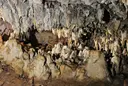 Cova del Janet - Miniatura 5, Tivissa