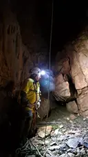 Grallera de Catllarí - Thumbnail 5, Fígols