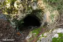 Cova-avenc del Mas d'en Toni - Miniatura 1, Mont-ral