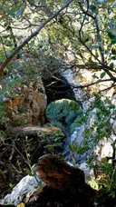 l'Ull de Montmajor - Thumbnail 2, Montagut i Oix