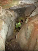 Cova del Forestal - Thumbnail 2, Alfara de Carles