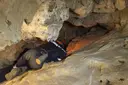 Cova de la Barracota - Miniatura 3, Sant Jaume dels Domenys