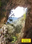 Cova de Montglòs - Miniatura 4, Cellera de Ter, La