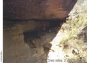 Coves del  Carnisser - Miniatura 4, Granadella, La