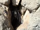 Cova B d'Olopte - Thumbnail 10, Isòvol