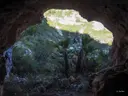 Cova del Bassiol - Miniatura 6, Alcanar