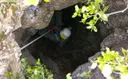 Avenc Petit del Solei de la Pedrosa - Thumbnail 3, Torroella de Montgrí