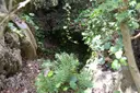 Avenc de la Morella - Miniatura 6, Begues