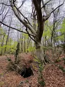Avenc del Coll de l'alec - Miniatura 1, Camprodon