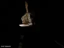 Cova de Can Trullars - Thumbnail 7, Viladecavalls