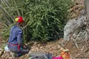 Cova del Pastor - Thumbnail 1, Llanars