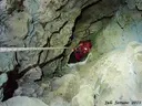 Avenc de Julio de la Sista - Miniatura 5, Ulldecona