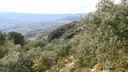 Balma d'en Coloms - Miniatura 1, Abella de la Conca