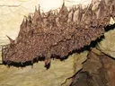 Cova d'en Rubí - Miniatura 3, Tortosa
