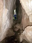 Cova de la Dou - Miniatura 2, Arbolí