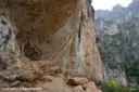 Coves d'Aiguadonzella - Miniatura 5, Roquetes