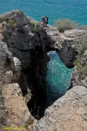 Cova del Gos - Miniatura 1, Tarragona